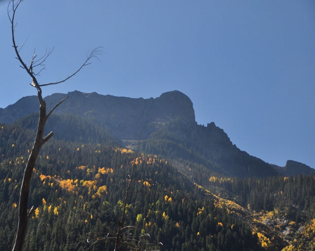 the scenery along the Animas River
